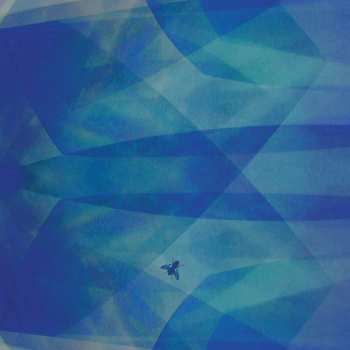 Album Cyro Baptista: Bluefly