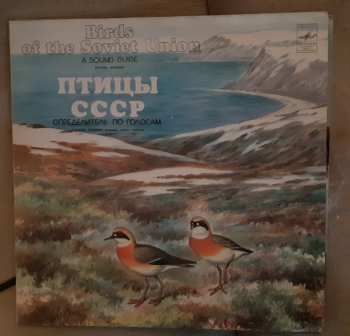 Борис Вепринцев: Гагары. Кулики: Pжaнки, Зyйки, Чибиcы = Divers. Waders