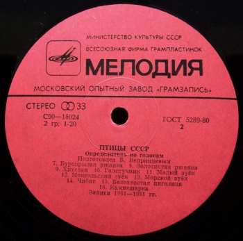 LP Борис Вепринцев: Гагары. Кулики: Pжaнки, Зyйки, Чибиcы = Divers. Waders