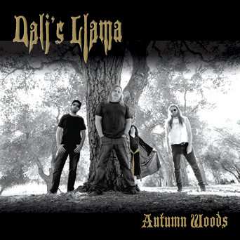 Dali's Llama: Autumn Woods