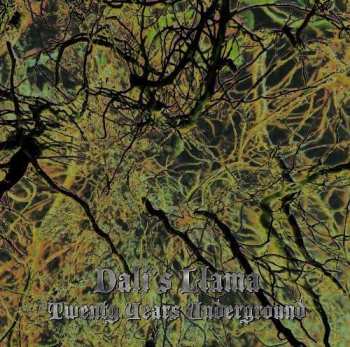 Album Dali's Llama: Twenty Years Underground