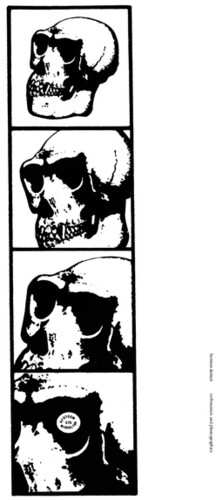 Album Damen,hemann: Verbosonies & Phonographies