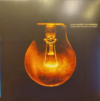 Album Damian Wilson & Adam Wakeman: Can We Leave The Light On Longer?
