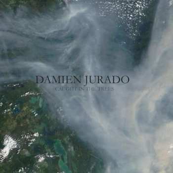 CD Damien Jurado: Caught In The Trees 114930