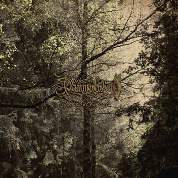 LP Dämmerfarben: Herbstpfad (limited Numbered Edition) (clear Vinyl)