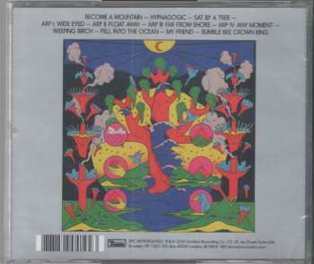 CD Dan Deacon: Mystic Familiar 90793