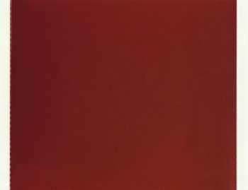 CD Dan Reed Network: The Collection