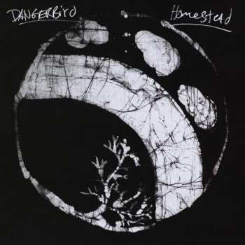 Album Dangerbird: Homestead