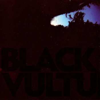 Album Daniel Norgren: Black Vultures