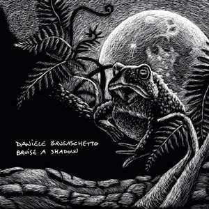 Album Daniele Brusaschetto: Bruise A Shadow