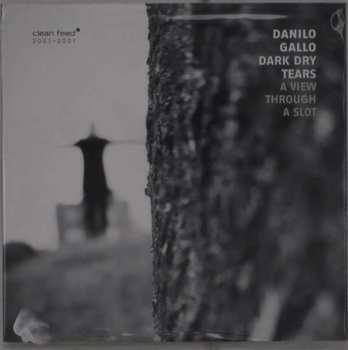 Album Danilo Gallo Dark Dry Tears: A View Through a Slot