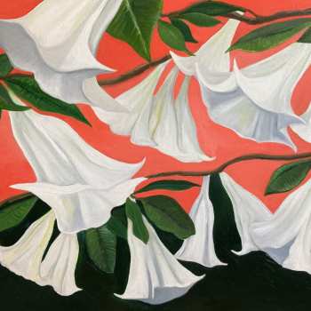 CD Danny George Wilson: Another Place