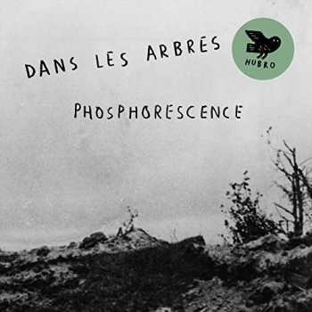 Album Dans Les Arbres: Phosphorescence