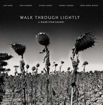 Album Dark Star Safari: Walk Through Lightly