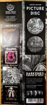 LP Darkened: Kingdom Of Decay PIC 135860