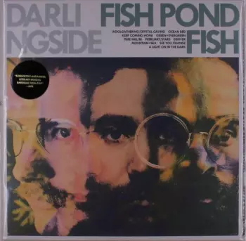 Darlingside: Fish Pond Fish