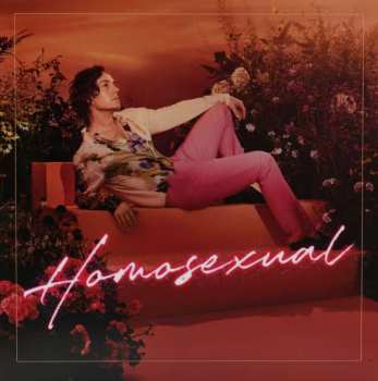 CD Darren Hayes: Homosexual 383999