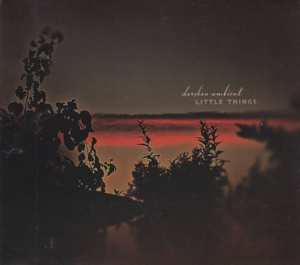 Album Darshan Ambient: Little Things