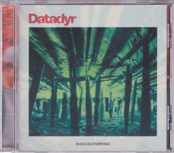 CD Datadyr: Woolgathering 477845