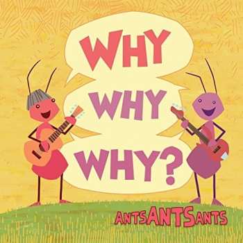 CD Dave Matthews Band: Why Why Why