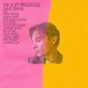 LP David Brewis: The Soft Struggles 454838