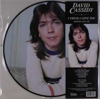 David Cassidy: Live in Concert
