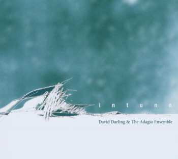 Album David Darling: Musical Massage: In Tune