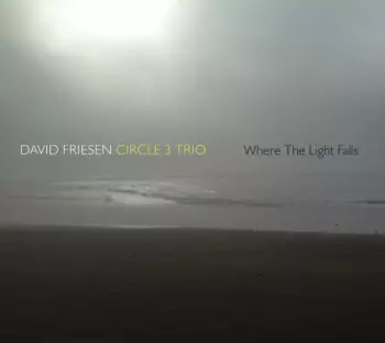 David Friesen Circle 3 Trio: Where The Light Falls
