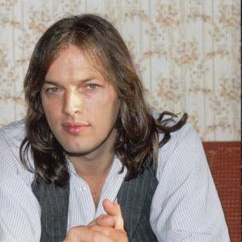 CD David Gilmour: David Gilmour 8794