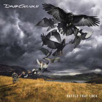 LP David Gilmour: Rattle That Lock 29494
