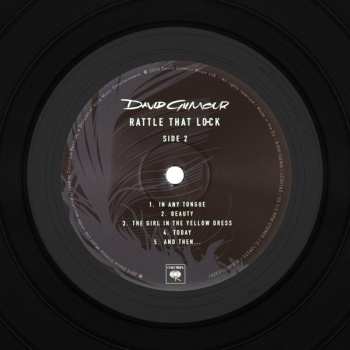 LP David Gilmour: Rattle That Lock 29494