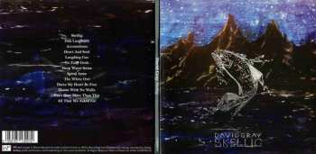 CD David Gray: Skellig 175261