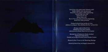 CD David Gray: Skellig 175261
