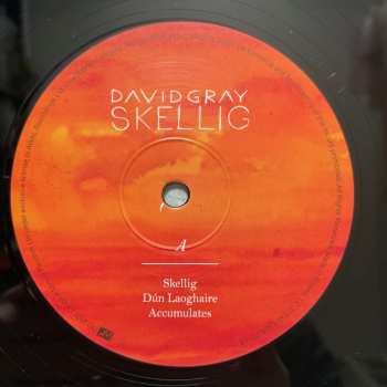 2LP David Gray: Skellig 75212