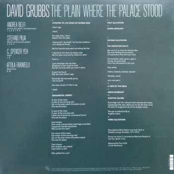 LP David Grubbs: The Plain Where The Palace Stood 489086