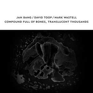 Album David & Jan Bang & Toop: Compound Full Of Bones, Translucent Thousands