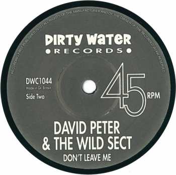 SP David Peter And The Wilde Sect: Out Of My Mind / Don't Leave Me 398898