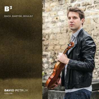 Album DAVID PETRLIK: David Petrlik - B³