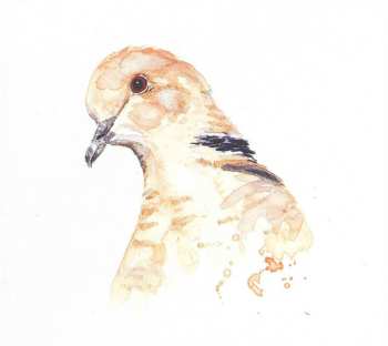 CD David Philips: The Rooftop Recordings 2 LTD | NUM | DIGI