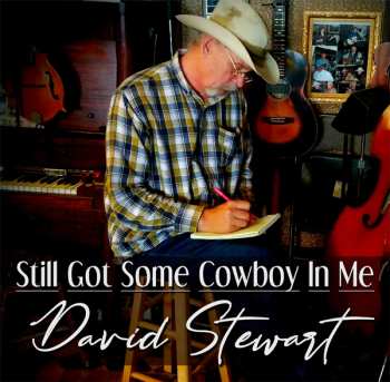 Album David Stewart: Still Got Some Cowboy In Me