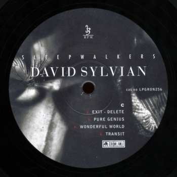2LP David Sylvian: Sleepwalkers 345727