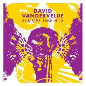 Album David Vandervelde: Summertime Hits