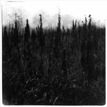 CD David Bennet: Within Reach Of Eventuality