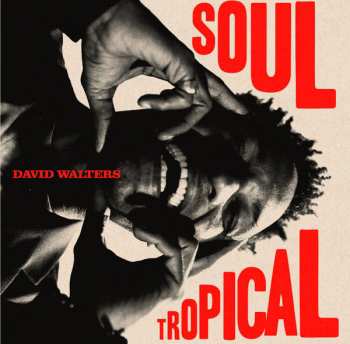 Album David Walters: Soul Tropical