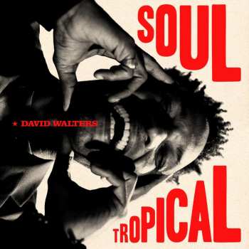 CD David Walters: Soul Tropical 468829