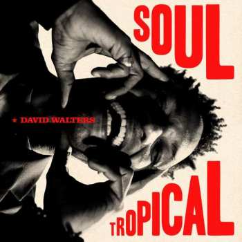 2LP David Walters: Soul Tropical (gatefold) 410387