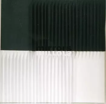 Davor Kajfeš: Mirrors