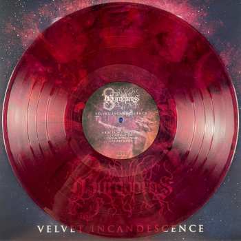 LP Dawn Of Ouroboros: Velvet Incandescence CLR | LTD 499596