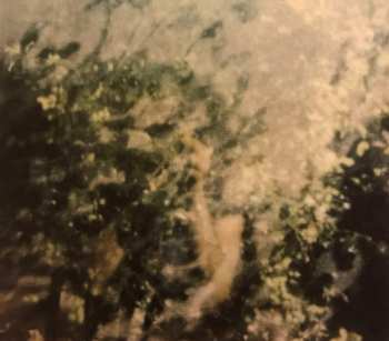 CD Day Wave: Headcase / Hard To Read