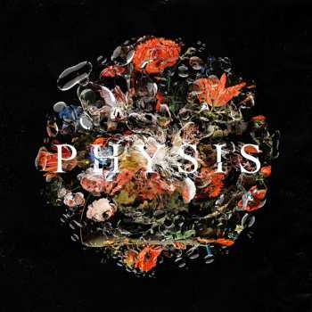 Album DayKoda: Physis